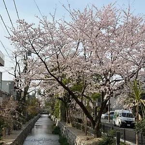  홈스테이 初音
